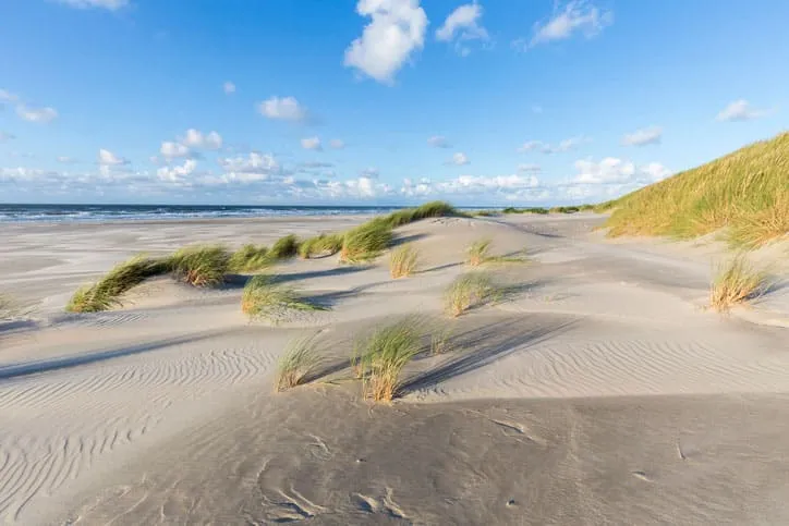 How Cofferdams Can Be Used for Dune Protection