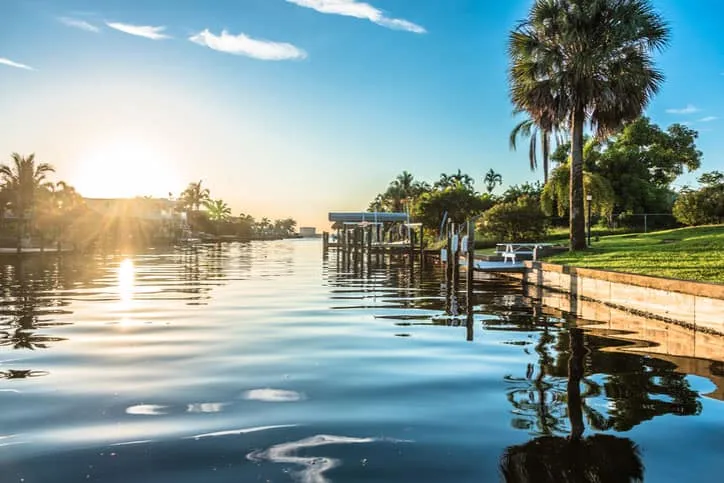 Closeup of Florida canal with palm trees and homes.