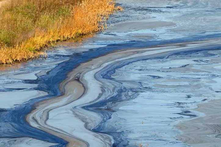 Close up of oil spill and shoreline.