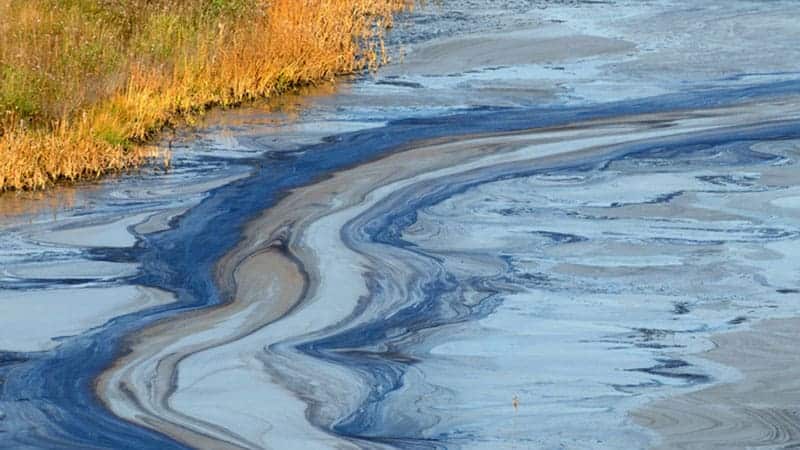 Closeup of oil spill in water near land.
