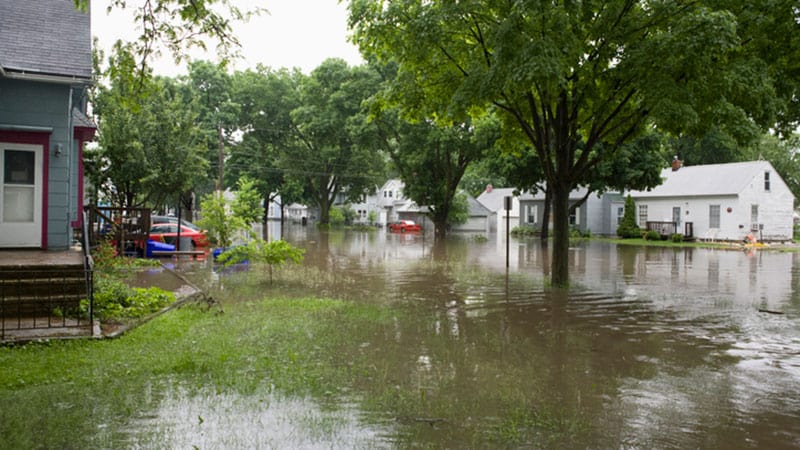 Flooding near homes with trees and wet grass.