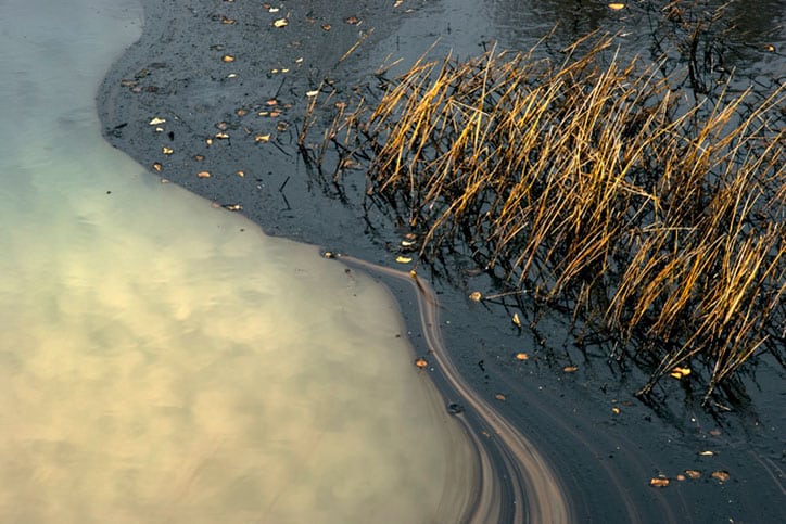 Oil Spill with Weeds in Water
