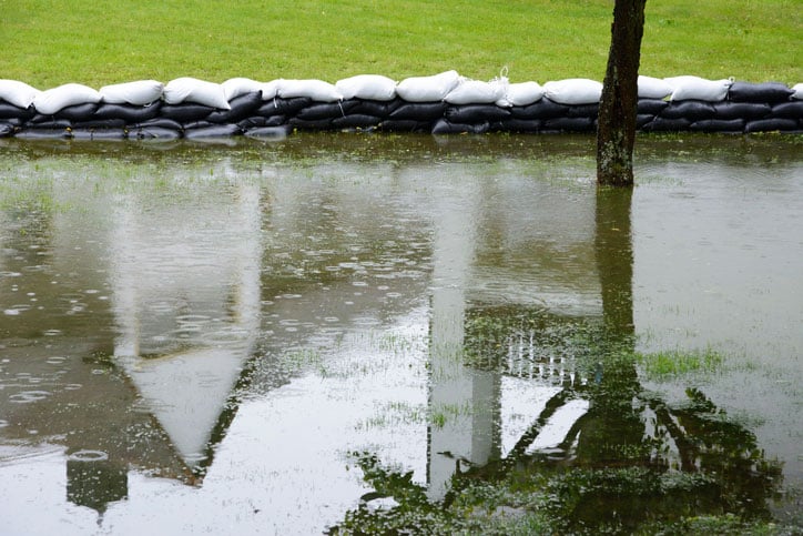 Flooded garden with sandbags prhobiting further damage